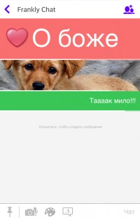 Frankly Chat 3.6.2. Скриншот 7