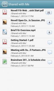 Micro Focus Filr 25.1.1.776. Скриншот 8