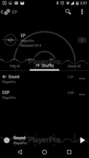 PlayerPro KK skin 1.2.3. Скриншот 7