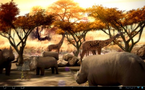 Africa 3D Free Live Wallaper 1.1. Скриншот 5