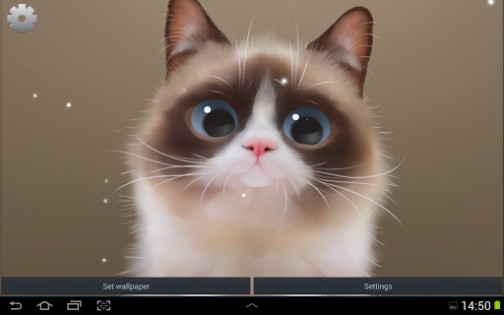 Shui The Kitten Lite 1.1.9. Скриншот 1