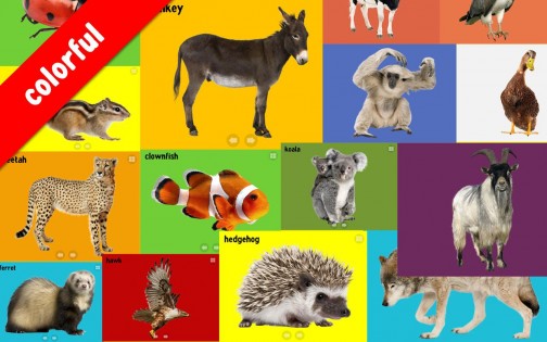 100 Animals 1.6. Скриншот 3