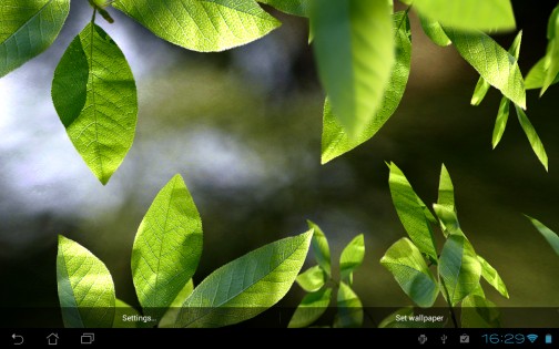Fresh Leaves Live Wallpaper 1.8. Скриншот 13