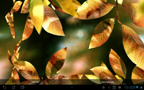 Fresh Leaves Live Wallpaper 1.8. Скриншот 15