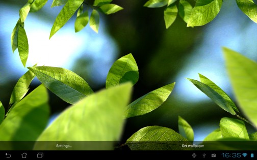 Fresh Leaves Live Wallpaper 1.8. Скриншот 18