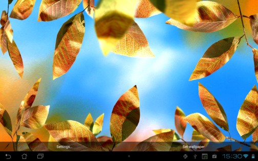 Fresh Leaves Live Wallpaper 1.8. Скриншот 25