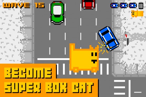 Box Cat 1.0. Скриншот 8