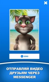 Говорящий Том для Messenger 1.0. Скриншот 1