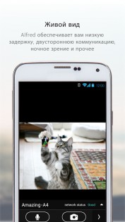 Alfred Camera 2025.4.0. Скриншот 6