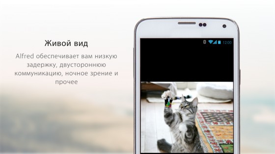 Alfred Camera 2025.2.0. Скриншот 14