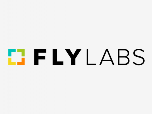 Google приобрела команду разработчиков Fly Labs