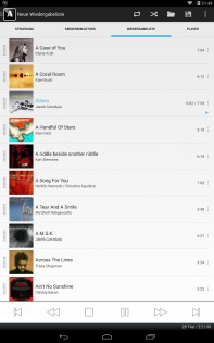 Audionet Music Manager 4.3.1. Скриншот 6