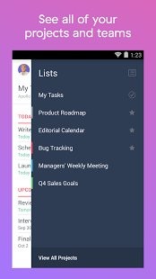 Asana 8.44.5. Скриншот 5