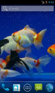 Gold Fish Video Live Wallpaper 3.0. Скриншот 4