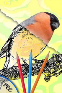 Pencil Sketch: Photo Editor 6.3.2. Скриншот 12