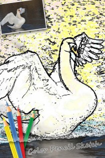 Pencil Sketch: Photo Editor 6.3.2. Скриншот 14