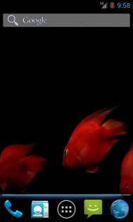 Red Aquarium Fish 3.0 . Скриншот 2