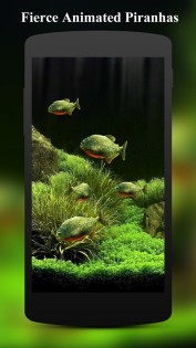 3D Fish Aquarium Wallpaper HD 1.8.5. Скриншот 4