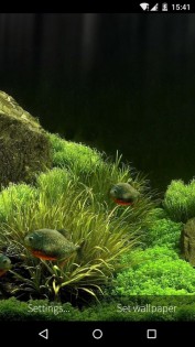 3D Fish Aquarium Wallpaper HD 1.8.5. Скриншот 5