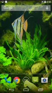 Fish Tank HD Live Wallpaper 3.0. Скриншот 2