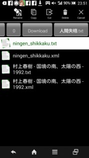Nichiro Reader 0.3. Скриншот 2
