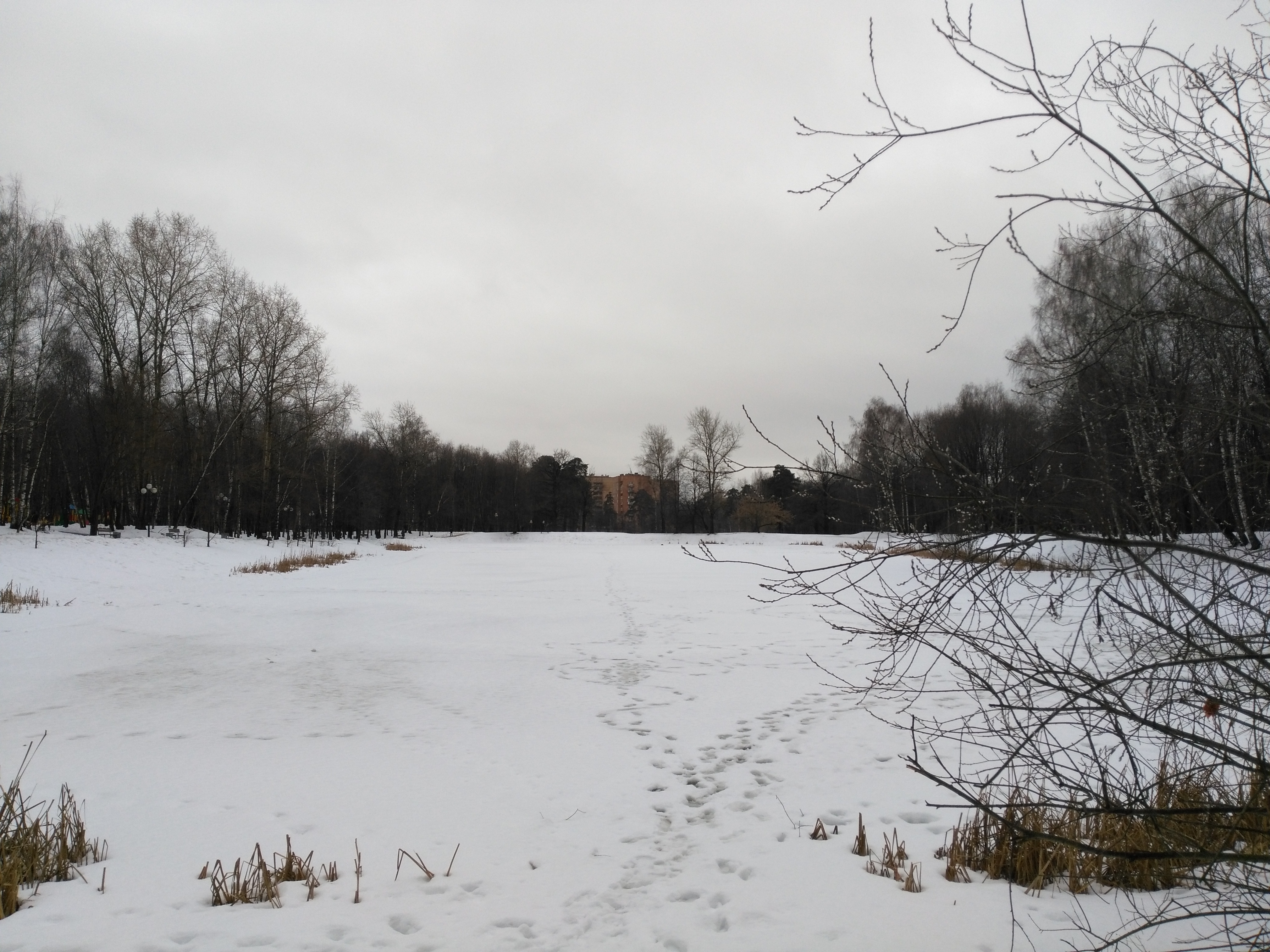Рп5 онор