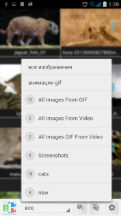 Видео в изображение GIF, JPG 3.6. Скриншот 3