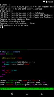 Termux 0.118.3. Скриншот 1