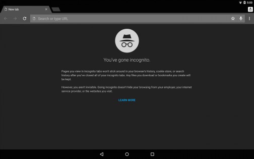Chrome Dev 139.0.7246.0. Скриншот 8