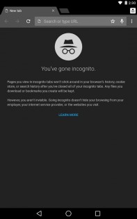 Chrome Dev 139.0.7246.0. Скриншот 13