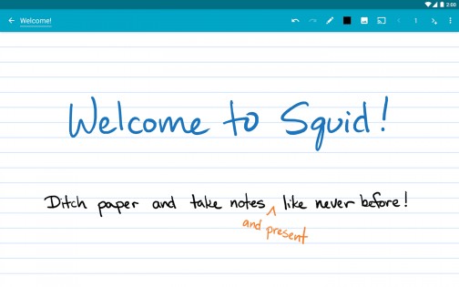 Squid – заметки и комментарии к PDF 4.0.26. Скриншот 10