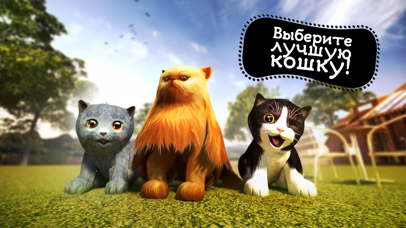 Игры Котёнок Кошка Симулятор 3d Играть Онлайн