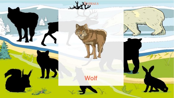 Вундеркинд — мир животных, познавательные игры с детьми. Скриншот 4