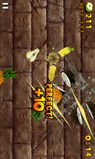 Fruit Slice 1.4.5. Скриншот 11