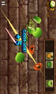 Fruit Slice 1.4.5. Скриншот 15