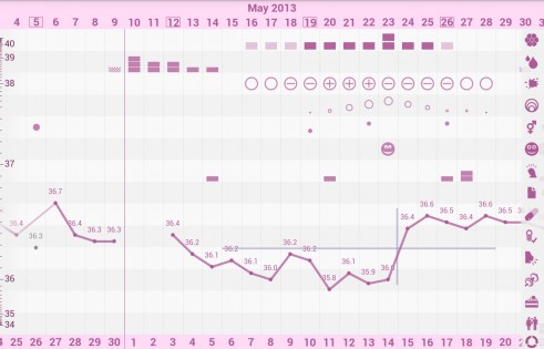 OvuView 4.0.26. Скриншот 4