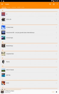 VLC 3.6.5. Скриншот 12