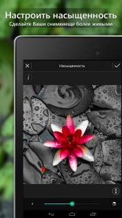 PhotoDirector 20.1.2. Скриншот 7