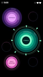 Elevate – тренажёр для мозга 5.186.0. Скриншот 5