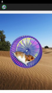 Hamster in a Wheel Desert 1.0. Скриншот 3