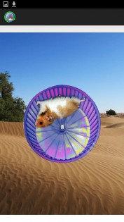 Hamster in a Wheel Desert 1.0. Скриншот 1