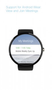 Webex Meetings 45.2.0. Скриншот 14