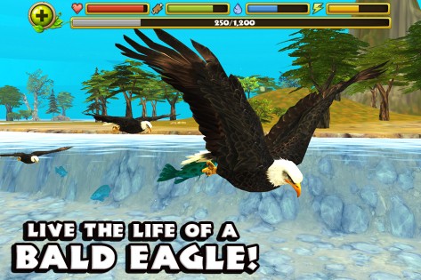 Eagle Simulator 1.0. Скриншот 1