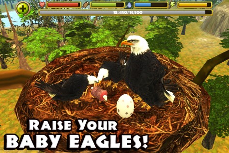 Eagle Simulator 1.0. Скриншот 2