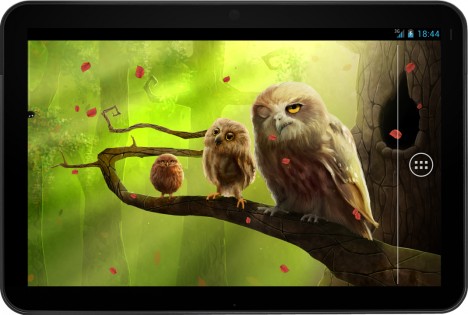 Owls Trial 1.0.1.1. Скриншот 6