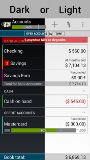 anMoney 1.10.5.20130110. Скриншот 1