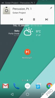 NextSong 1.1b-free. Скриншот 2