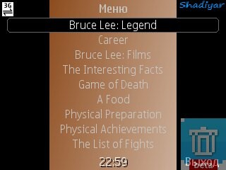 Bruce Lee Legend. Скриншот 2
