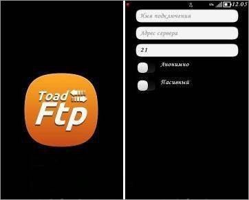 Toad FTP 1.00. Скриншот 1