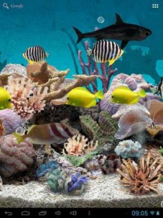 3D Aquarium Live Wallpaper PRO 1.0.2. Скриншот 1